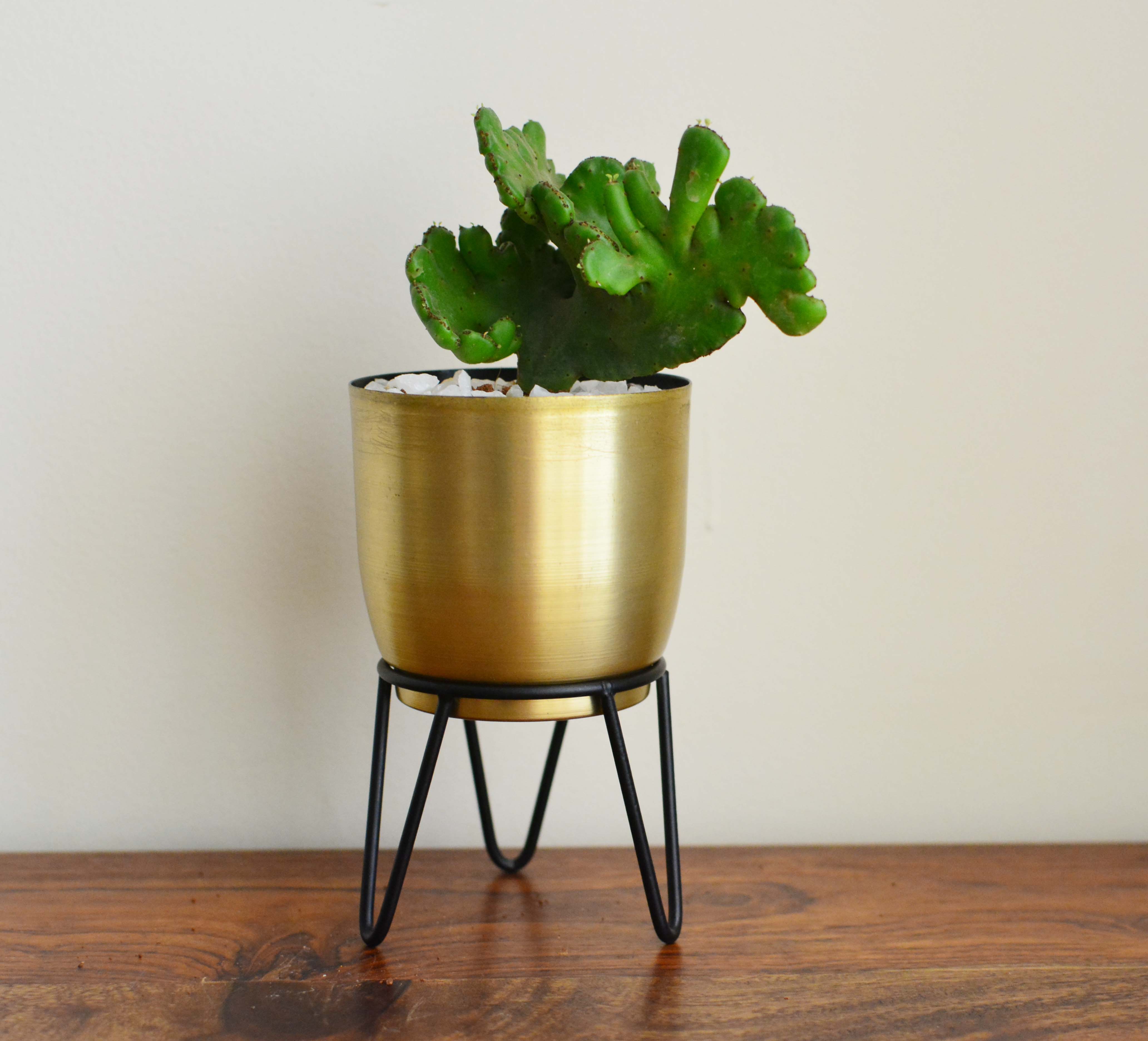 small tabletop planter