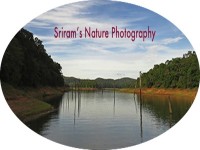 Sriram's Nature Photography