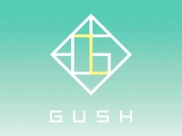 GUSH shoes & accessories